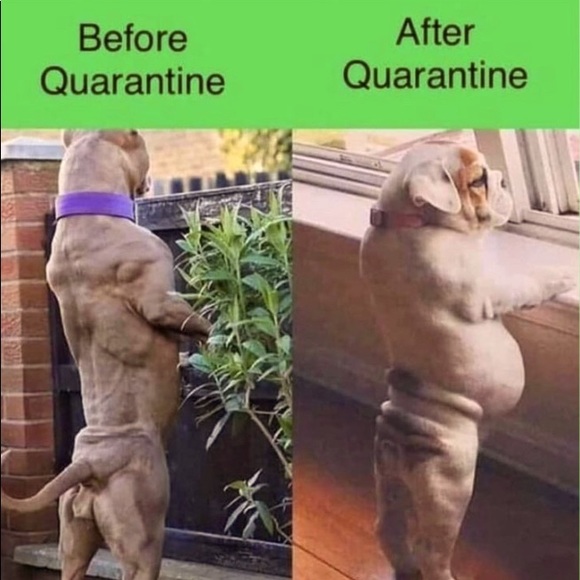 Meet your Posher, Legacy - Picture 1 of 1